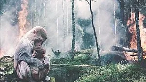 Rubrik_Naturschutz-pixabay-ape-4273153_960_720_28bed65ed7